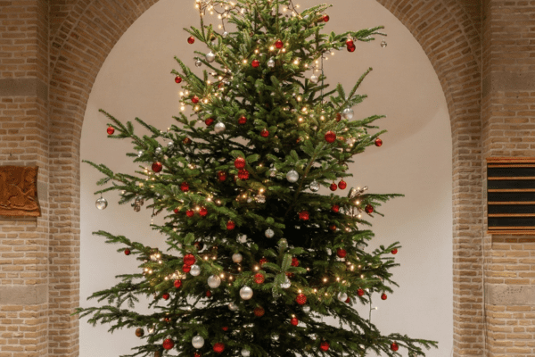 December Nieuwsbrief
