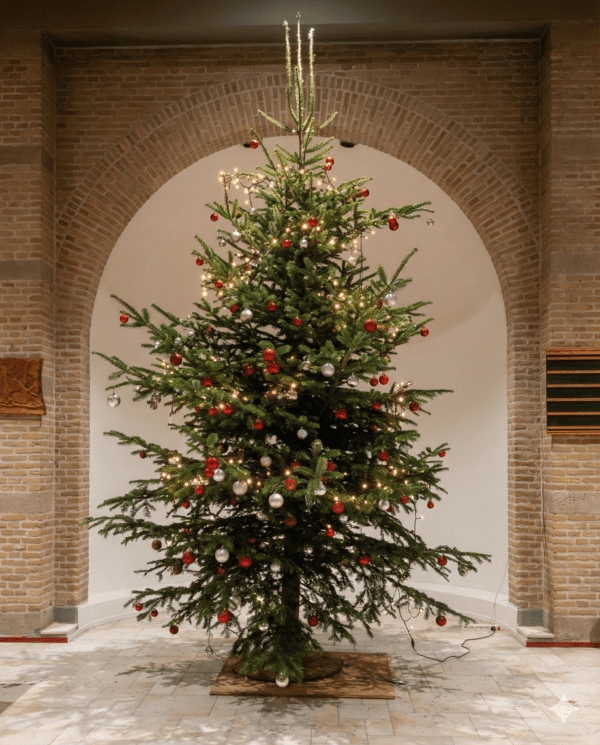 December Nieuwsbrief